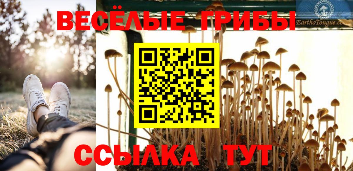 Галлюциногенные грибы Magic Shrooms Рязань